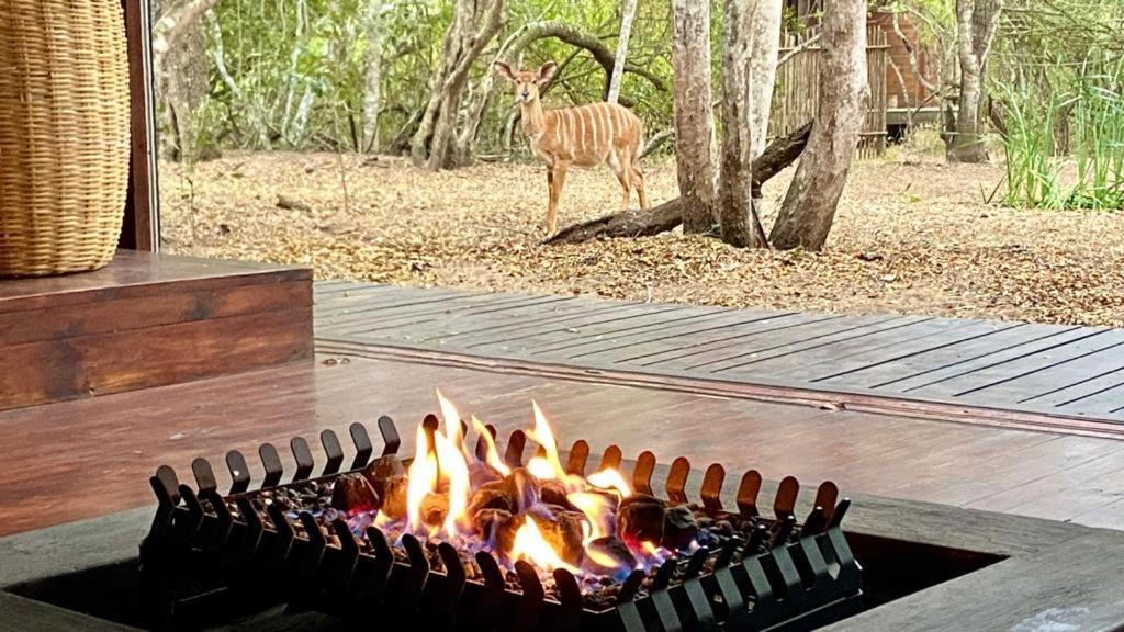 Hideaways Lazuli Bush Lodge, 赫卢赫卢韦 外观 照片
