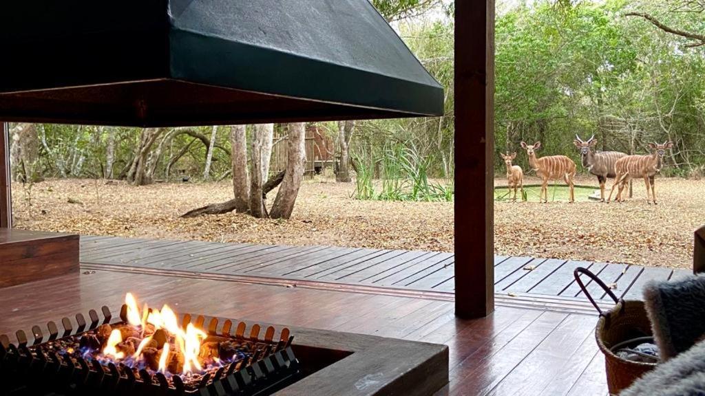 Hideaways Lazuli Bush Lodge, 赫卢赫卢韦 外观 照片